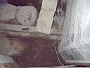 IMGP0020.JPG