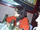 IMGP0362.JPG