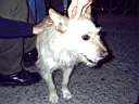 IMGP0103.JPG