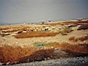 109_0928.JPG