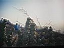 109_0943.JPG