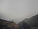 109_0948.JPG