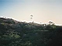 109_0983.JPG