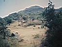 110_1024.JPG