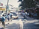 110_1027.JPG