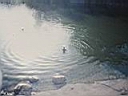 110_1033.JPG