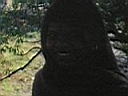 110_1042.JPG