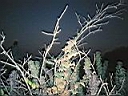 110_1082.JPG