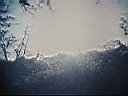 110_1094.JPG