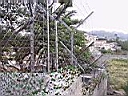 IMG_3423.JPG