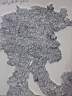 010.jpg